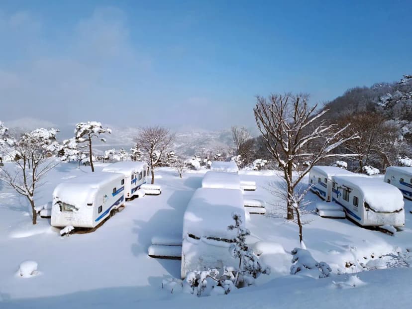 정읍로하스캠핑장 사진 17