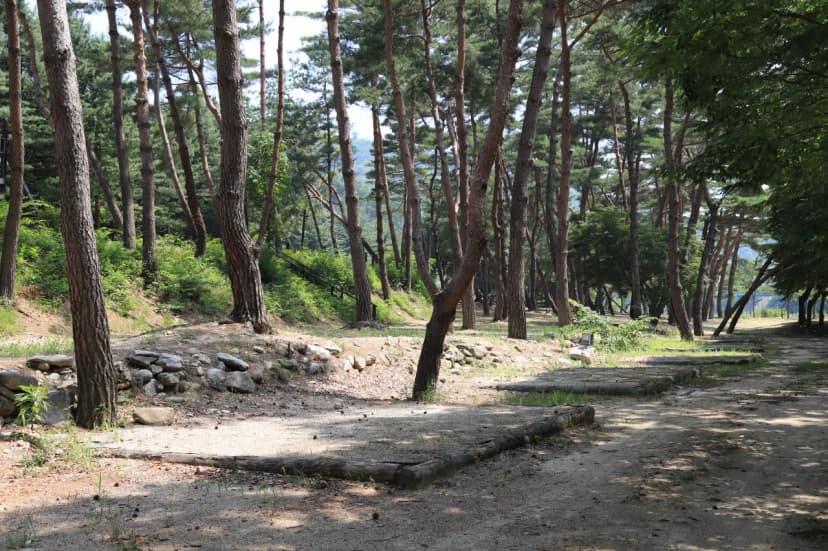 리버힐즈 캠핑장(푸른농원) 사진 5
