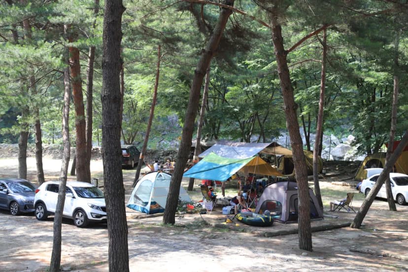 리버힐즈 캠핑장(푸른농원) 사진 6